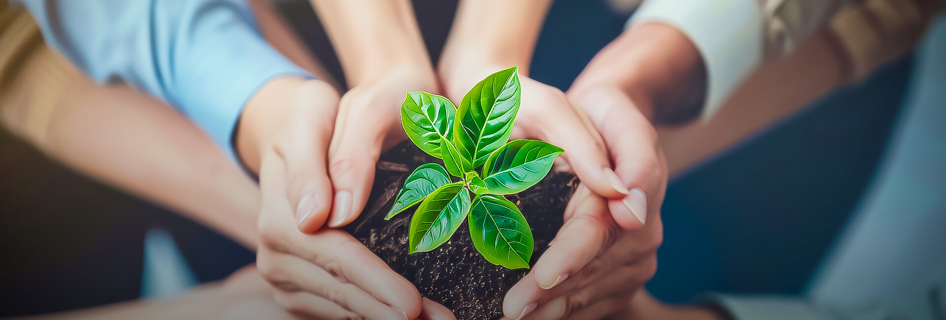 Together, we build the future-banner-0