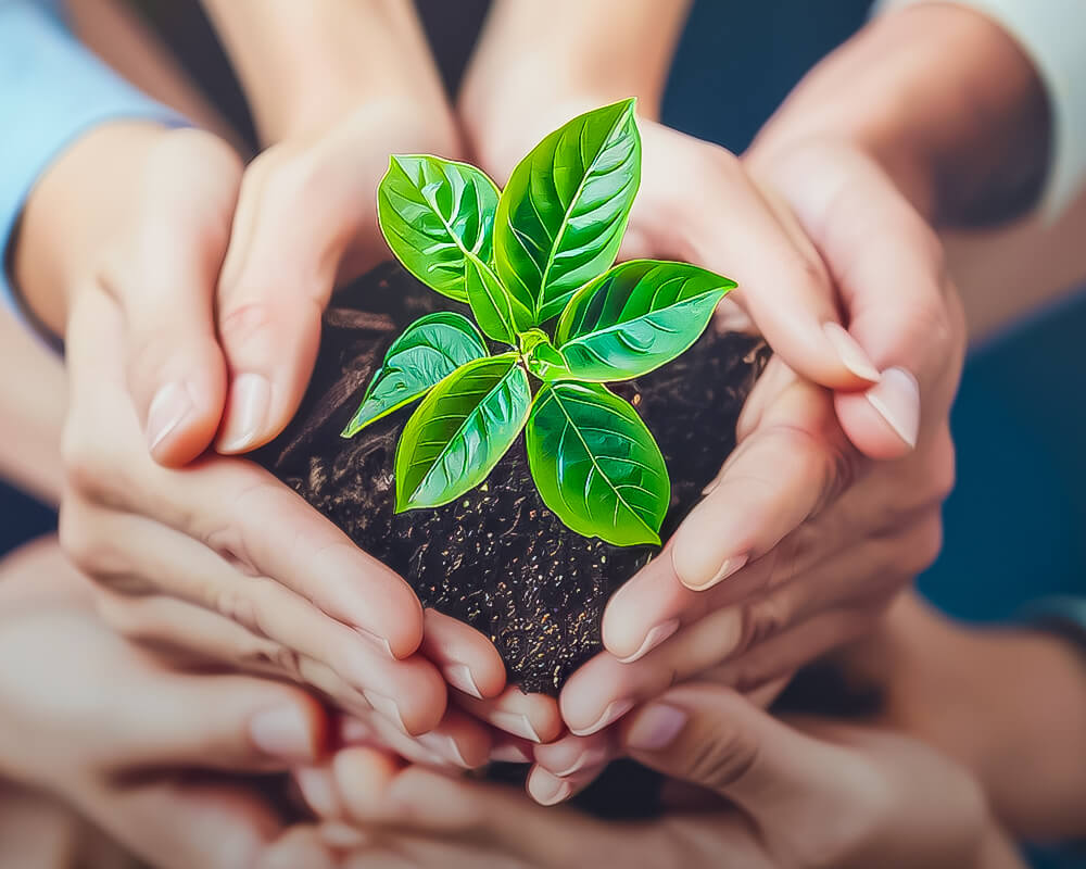 Together, we build the future-banner-0